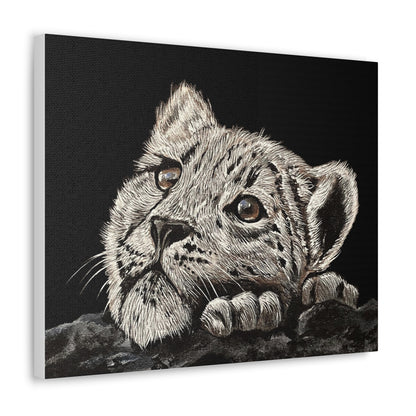 Snow Leopard Cub - Stretched Canvas Print