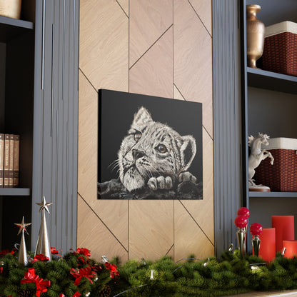 Snow Leopard Cub - Stretched Canvas Print