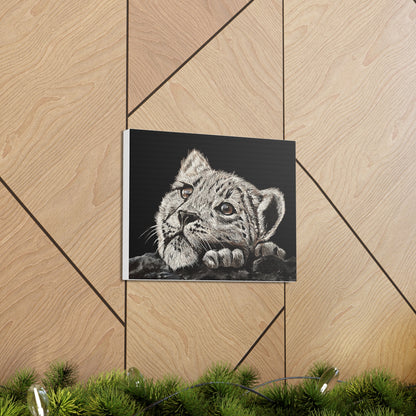 Snow Leopard Cub - Stretched Canvas Print