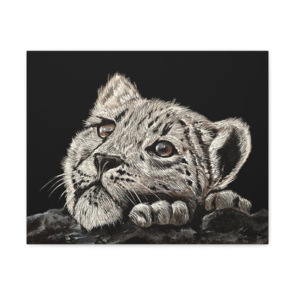 Snow Leopard Cub - Stretched Canvas Print