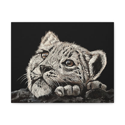 Snow Leopard Cub - Stretched Canvas Print